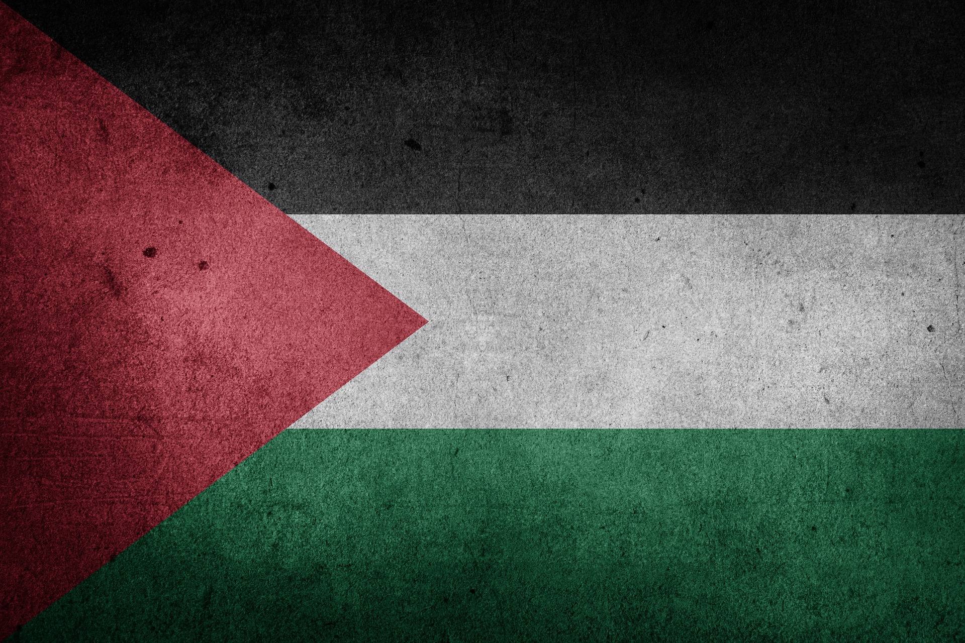 DÍA INTERNACIONAL DE SOLIDARIDAD CON EL PUEBLO PALESTINO